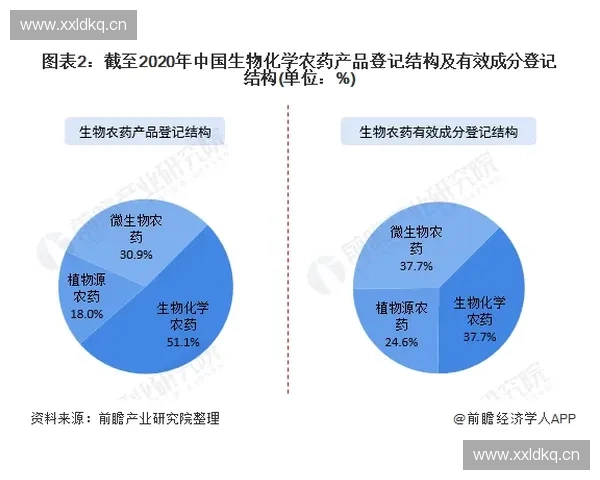 《深入分析CSGOBP市场趋势与玩家行为变化的影响因素》